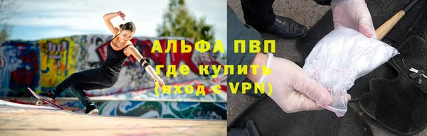 прущие грибы Абдулино