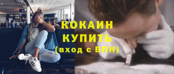 прущие грибы Абдулино