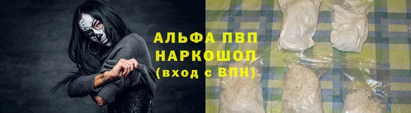 стафф Алексин