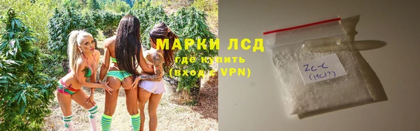 прущие грибы Абдулино